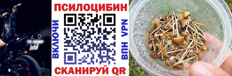 Купить закладки  Называевск  Галлюциногенные грибы Magic Shrooms 